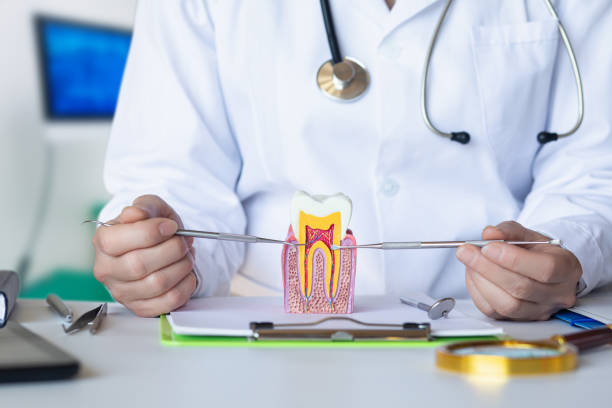 Best Broken or Chipped Tooth Repair in Woodlake, VA